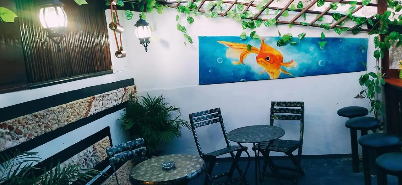 New Casa Dora Hotel Cartagena 0*,